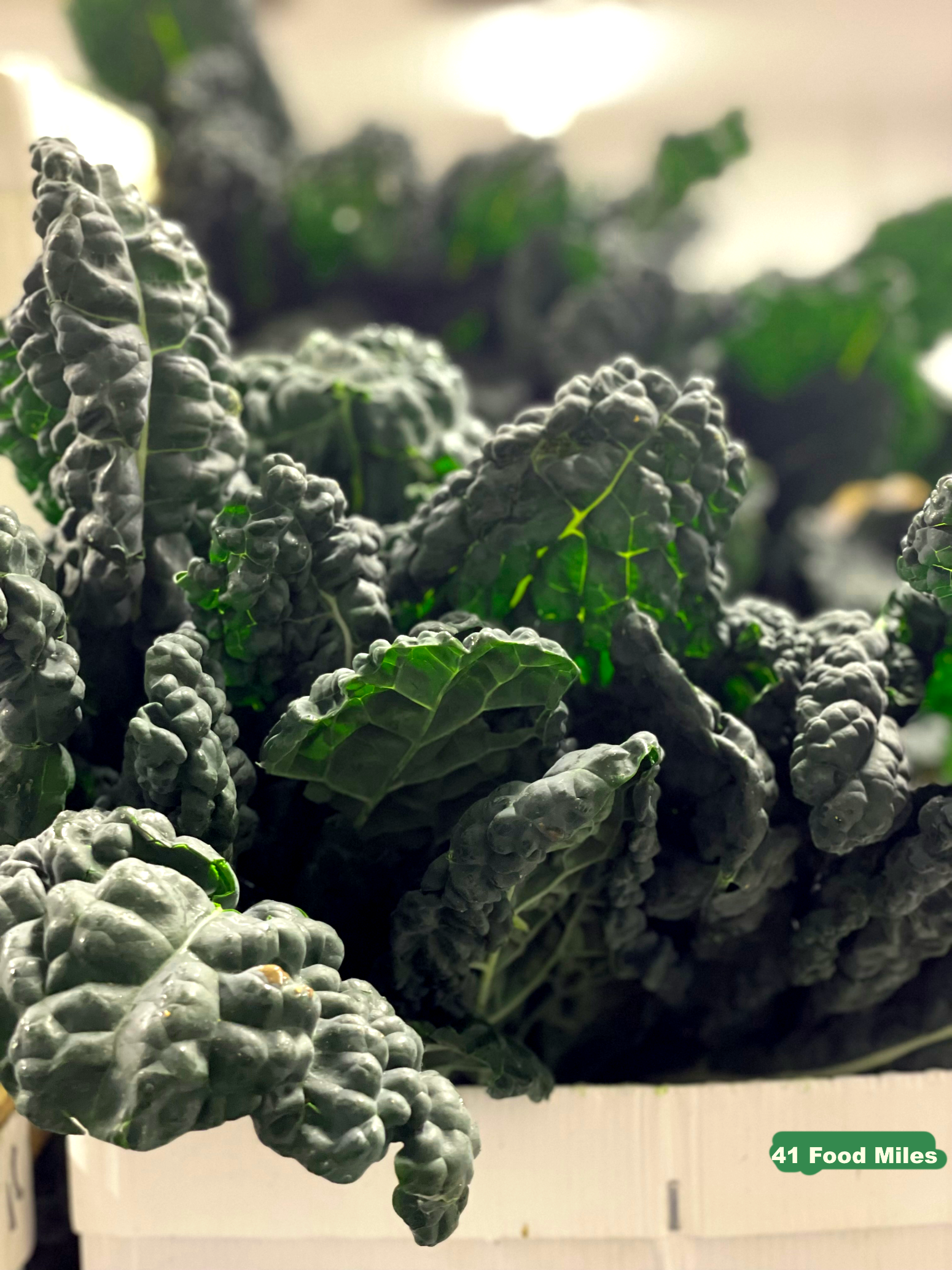 The polarising Kale, and how to get the best from it