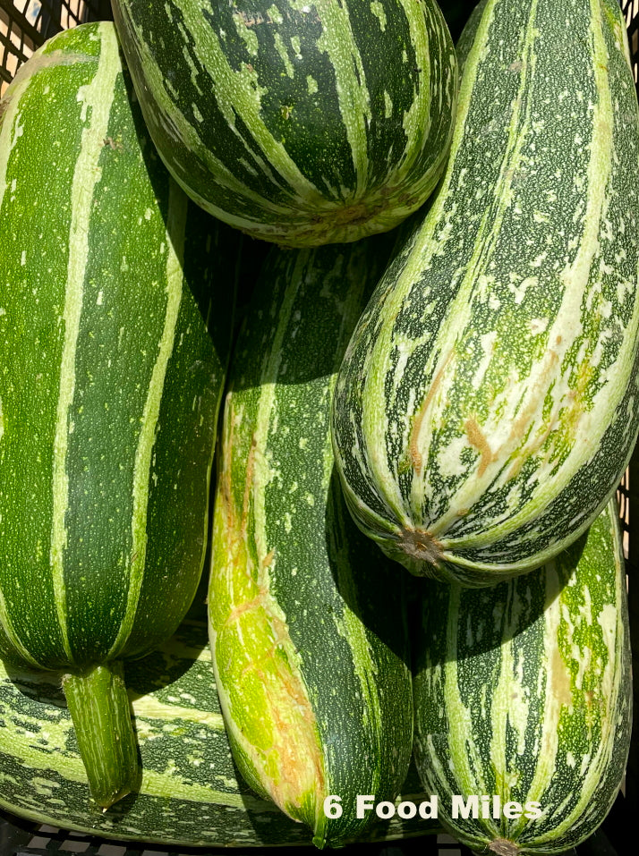 The Much Maligned Marrow