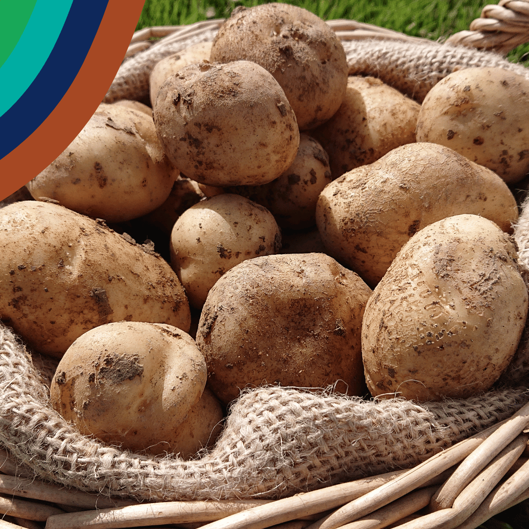 Discovery Box from Produced in Kent