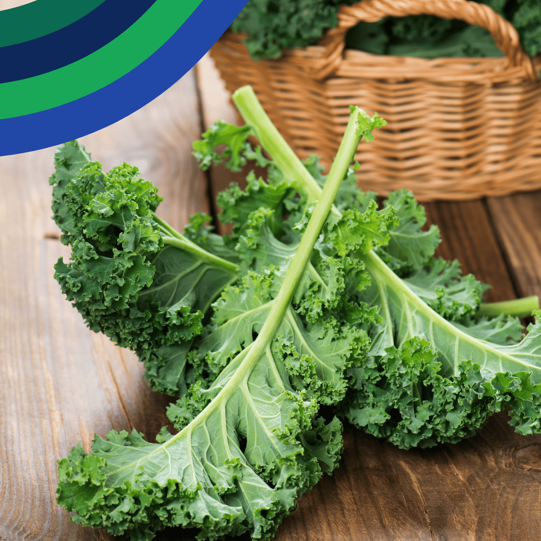 Discovery Box from Produced in Kent