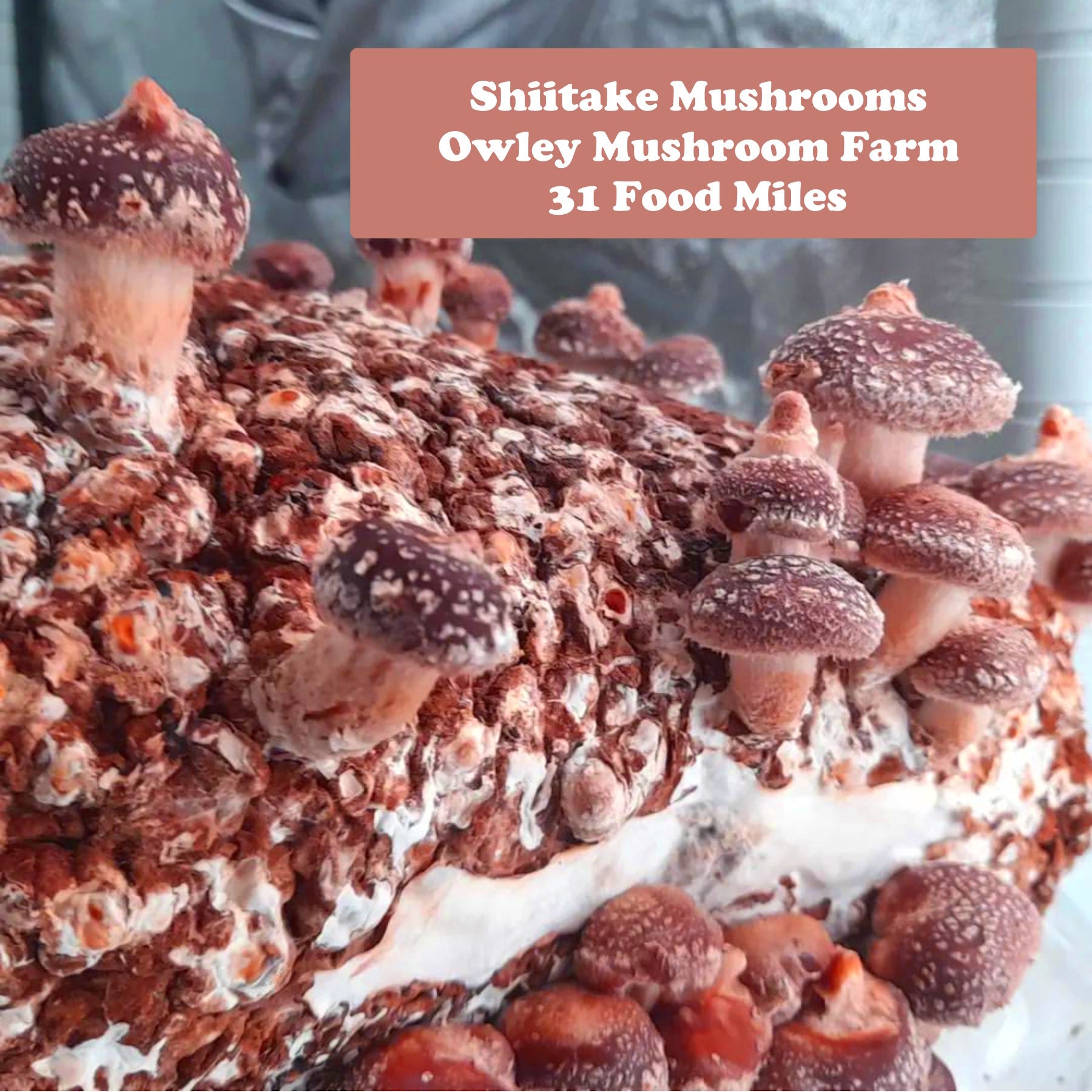 Shiitake Mushrooms 150g