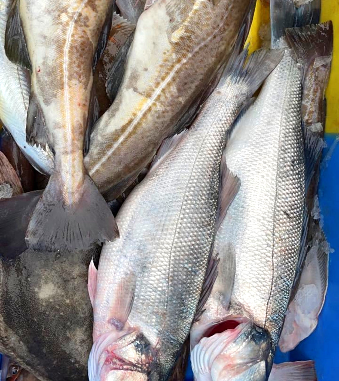 CJ's Kitchen Ready Meals