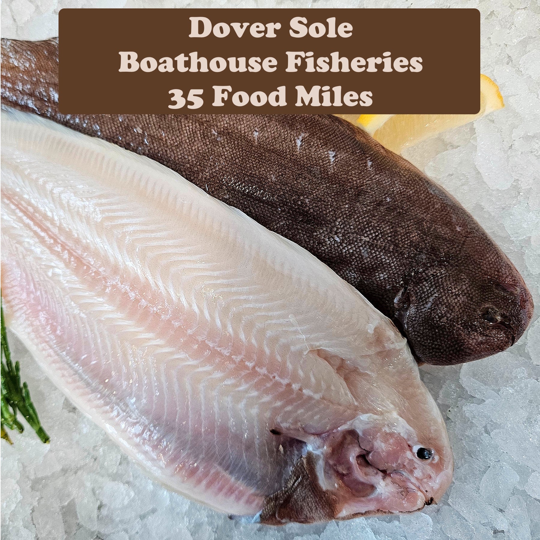 Local Dover Sole x1 (Frozen)