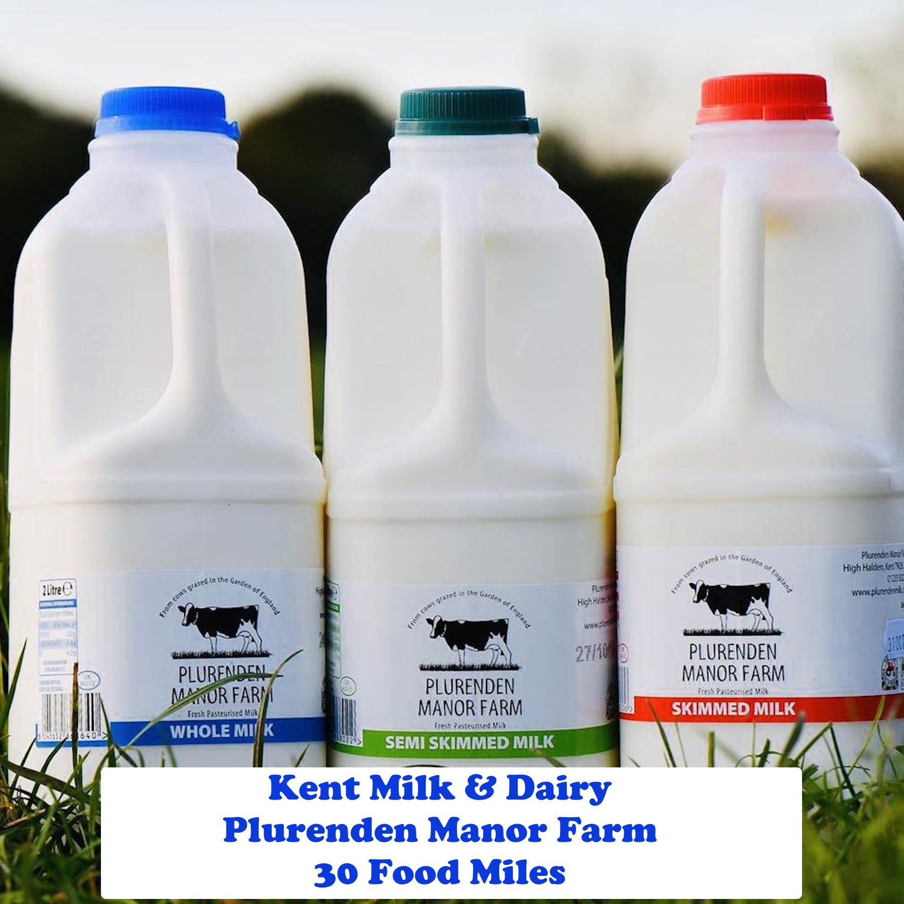 Plurenden Manor Farm Milk