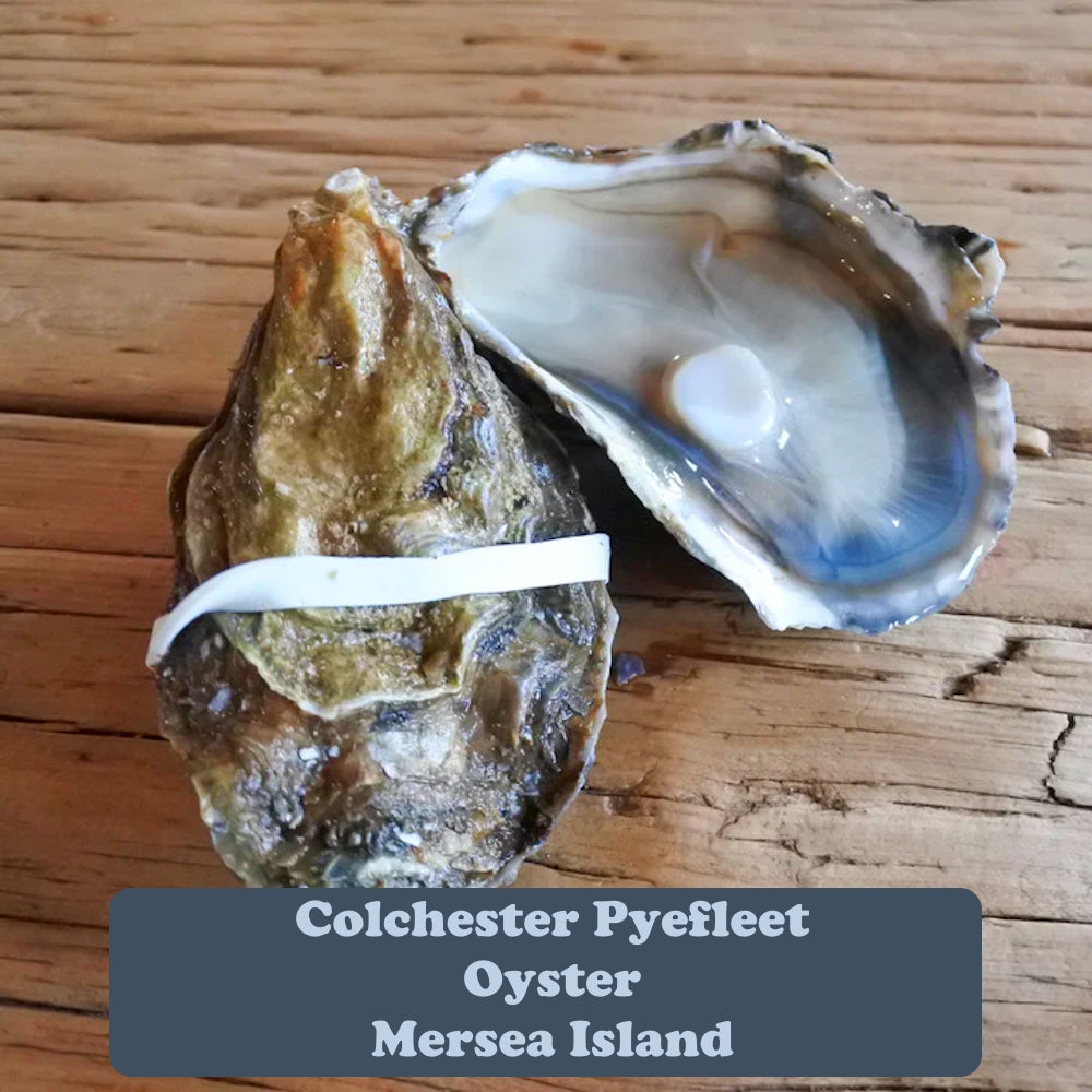 Colchester Pyefleet Oysters x6