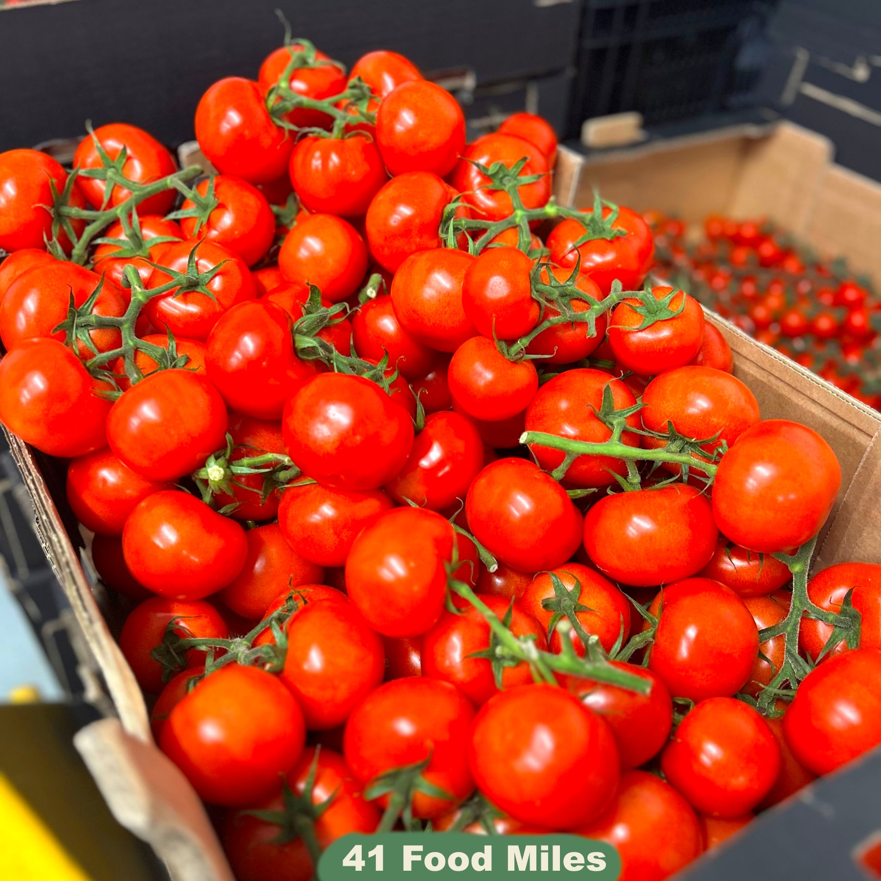 Kent Tomatoes 500g