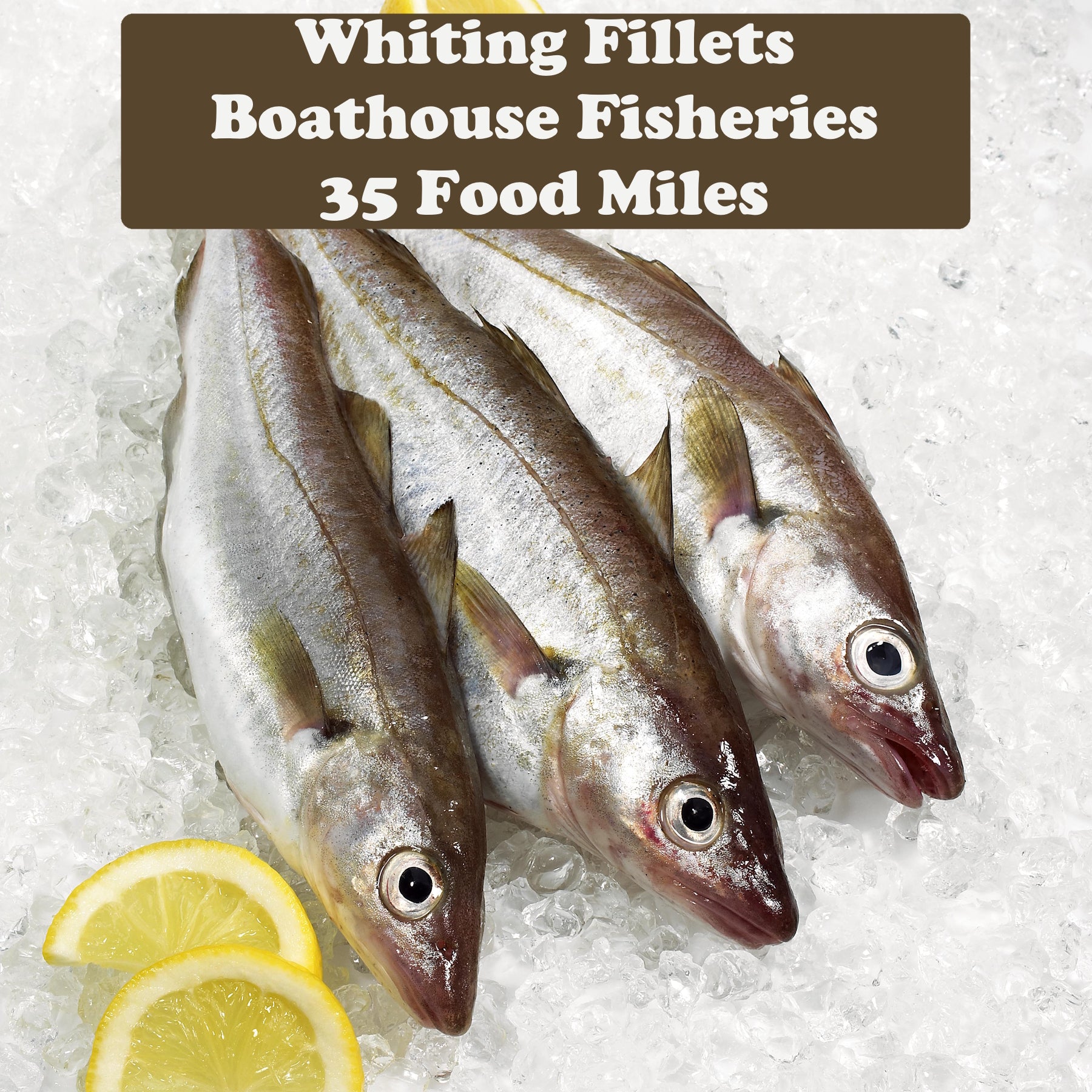 Whiting Fillets x2