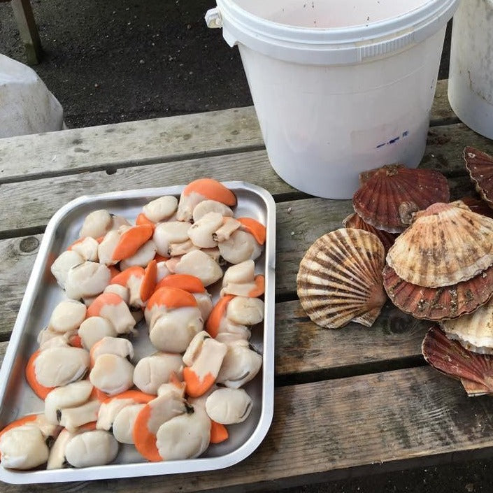 Rye Bay Scallops x 150G