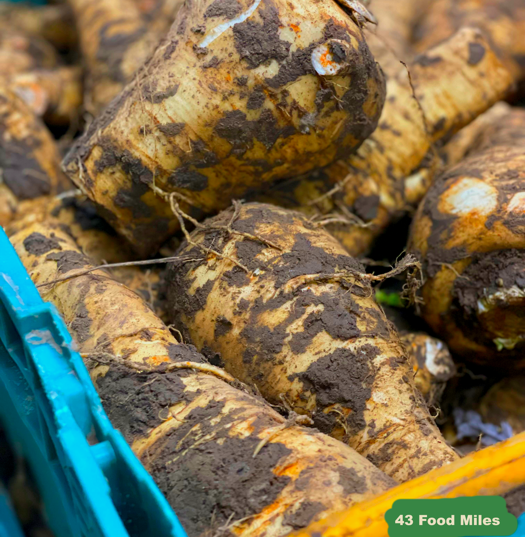 Seasonal Ready Meal Box