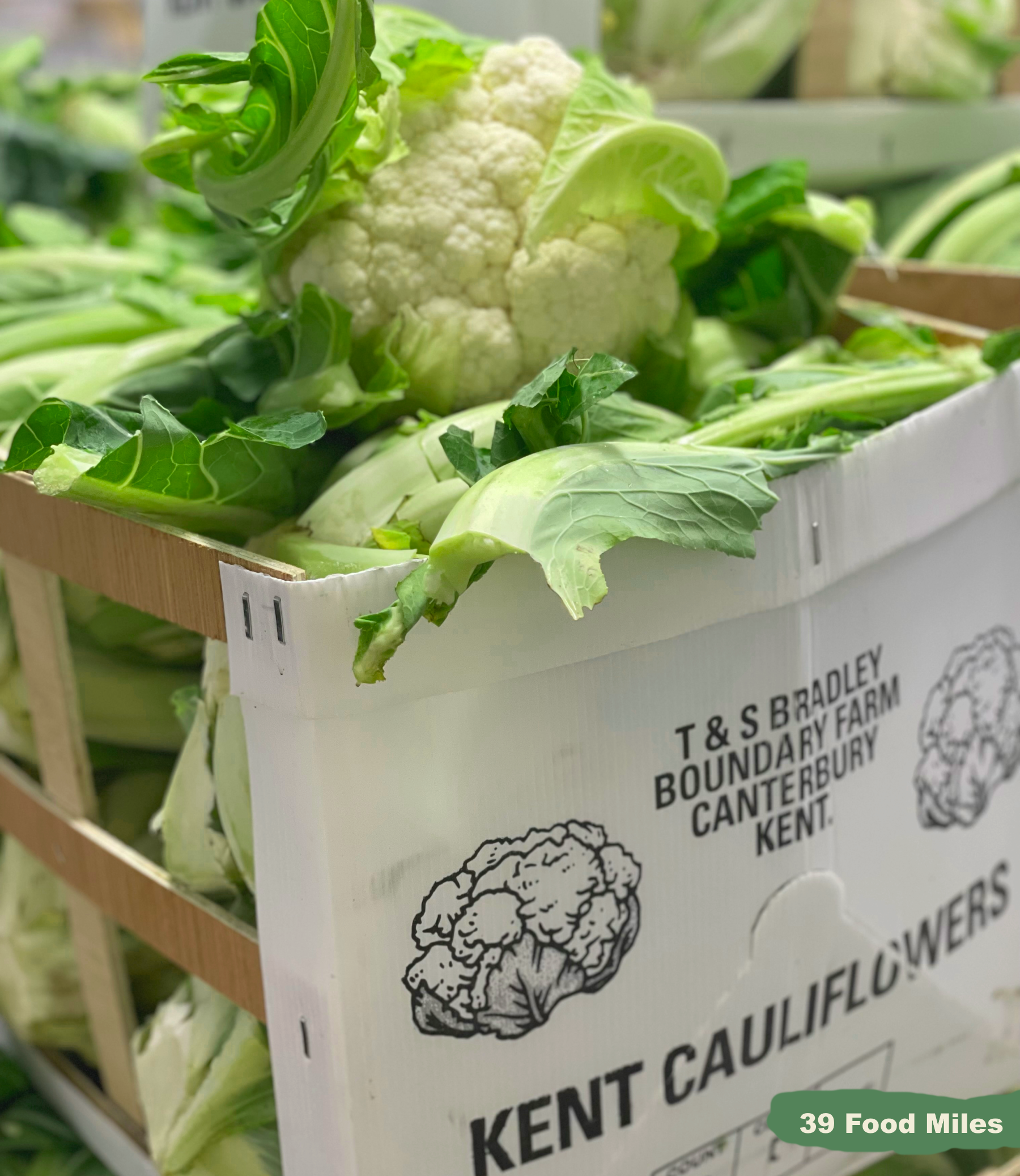 Seasonal Ready Meal Box