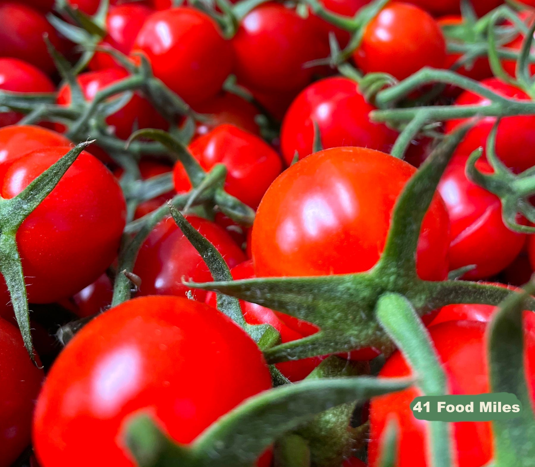 Seasonal Ready Meal Box