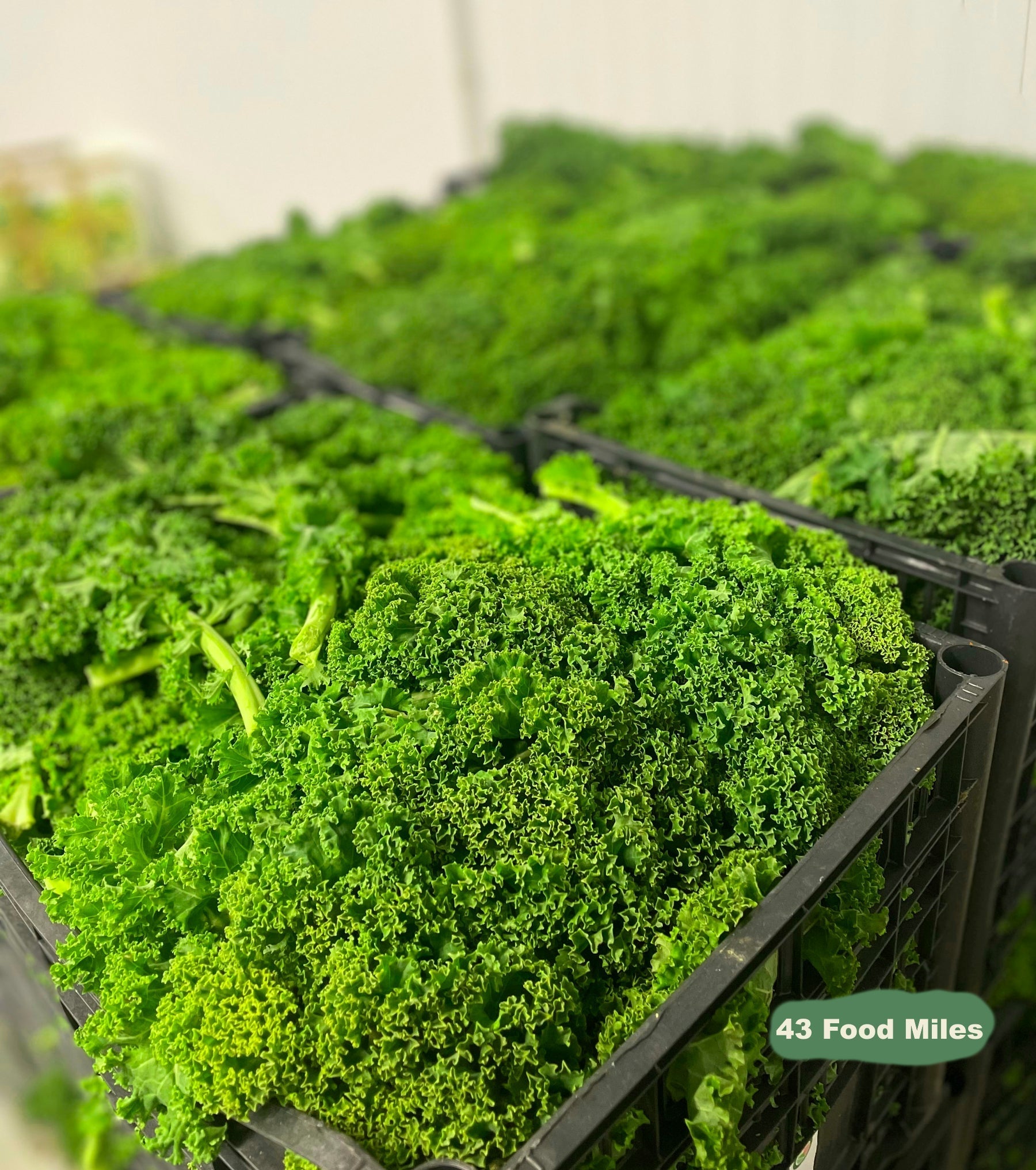 Seasonal Ready Meal Box