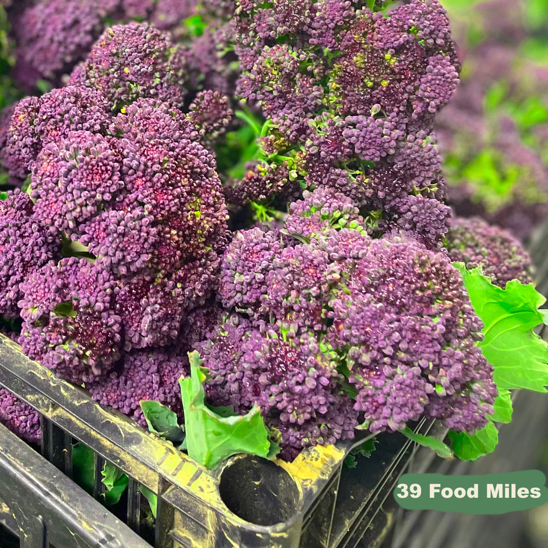 Seasonal Ready Meal Box