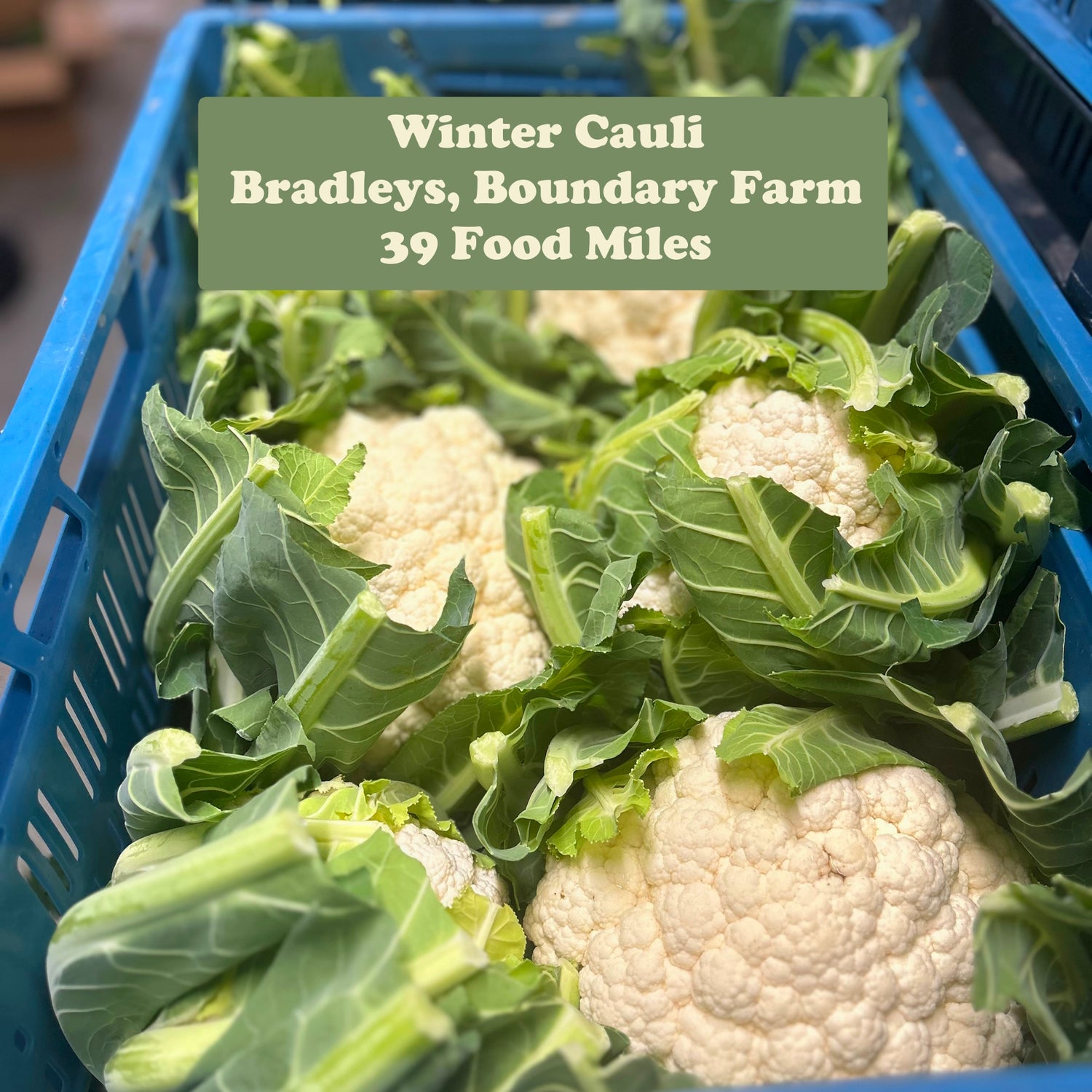 November Veg & Fruit Update - Winter is Coming