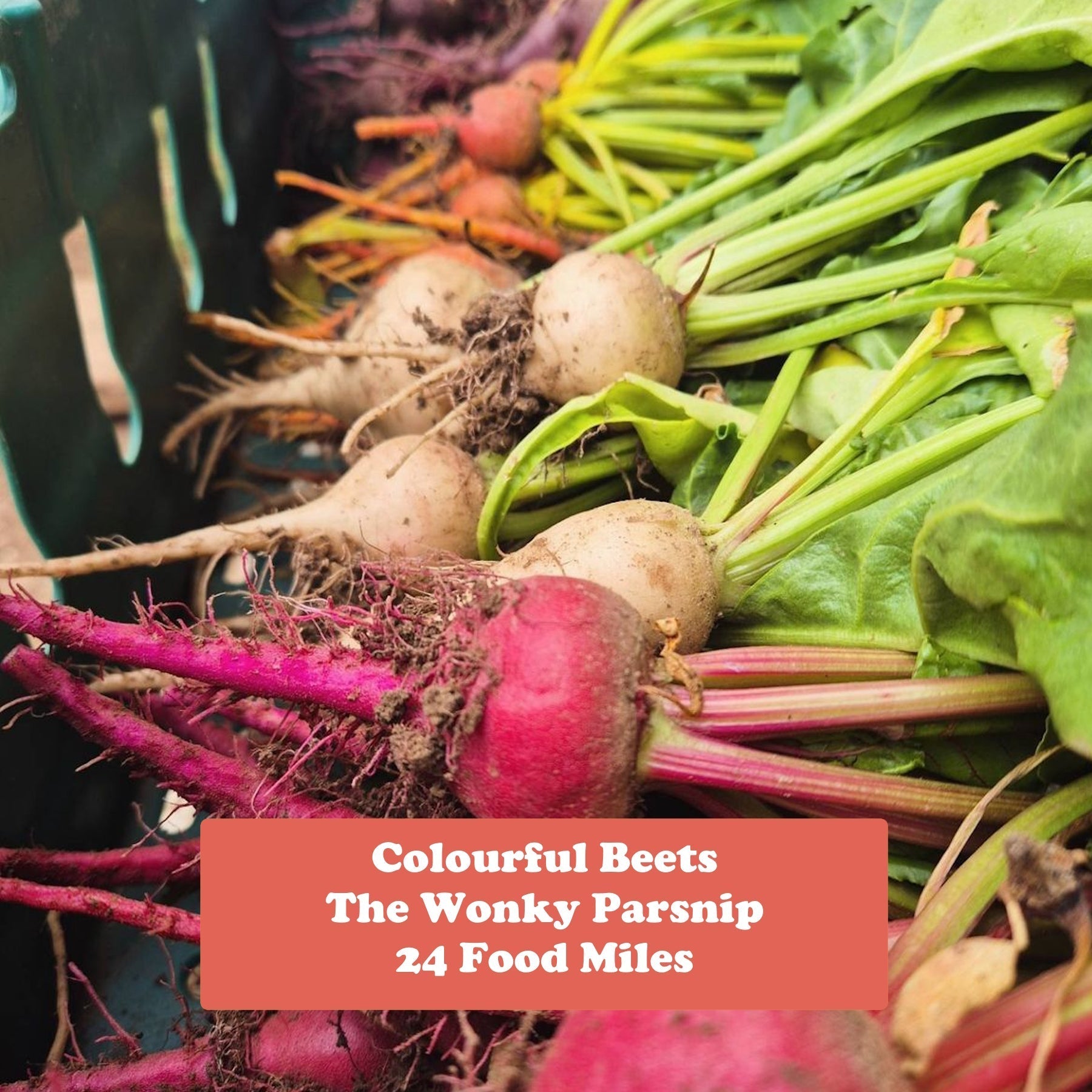 June Seasonal Update