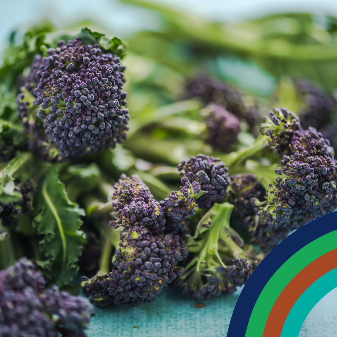 Discovery Box from Produced in Kent