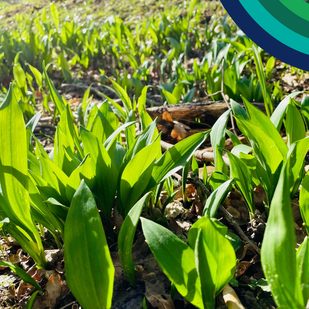 Discovery Box from Produced in Kent