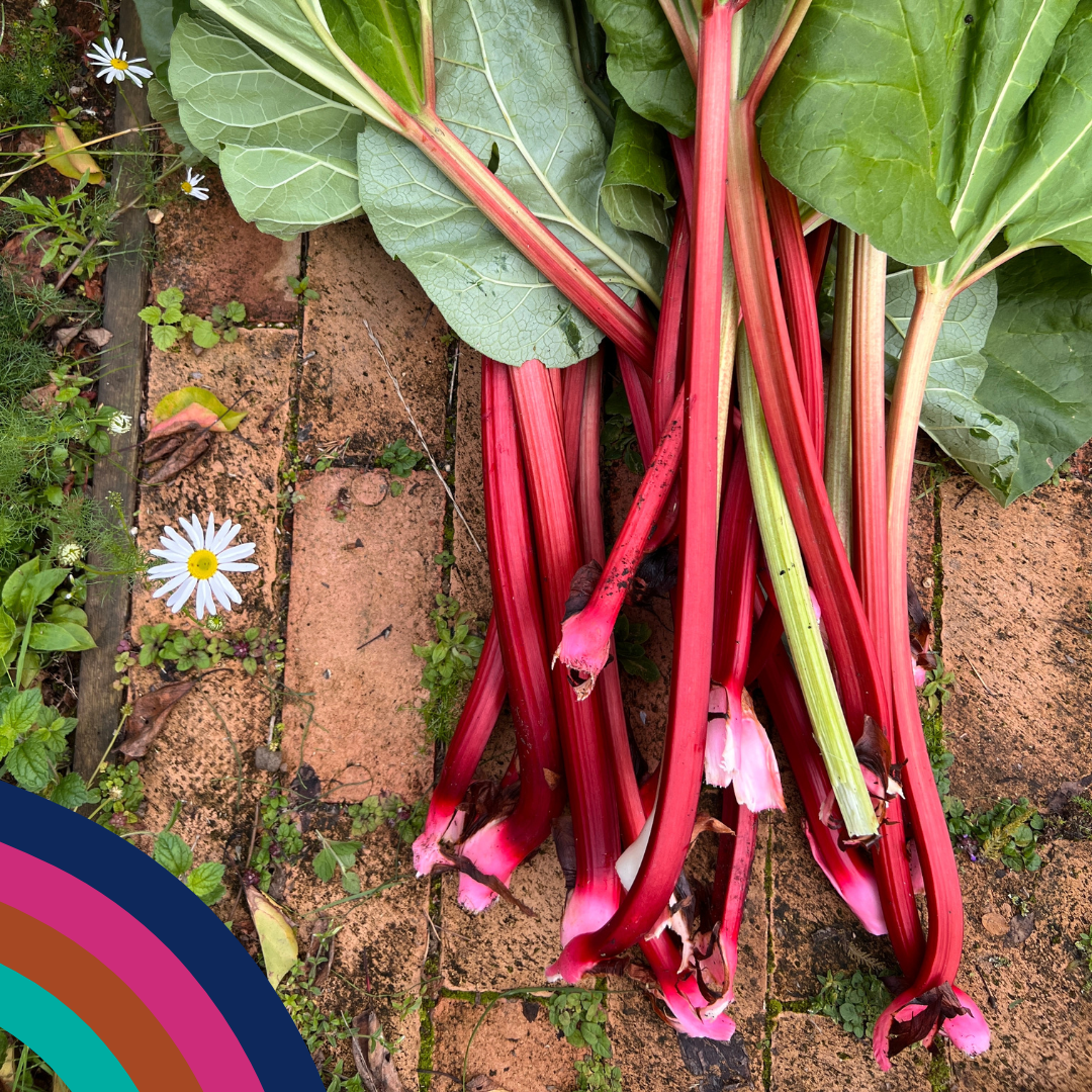 Discovery Box from Produced in Kent