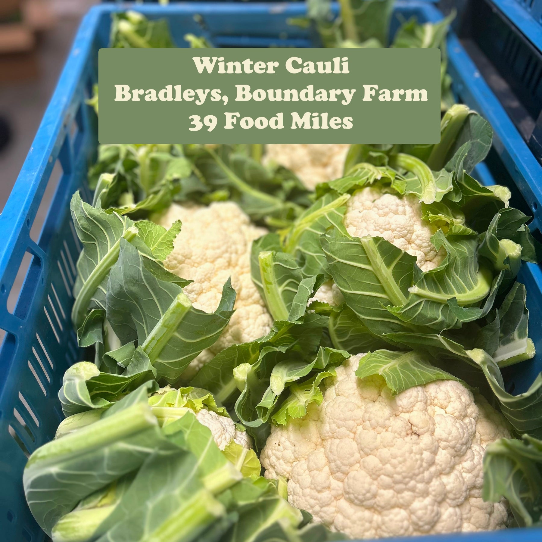 CJ's Kitchen Ready Meals