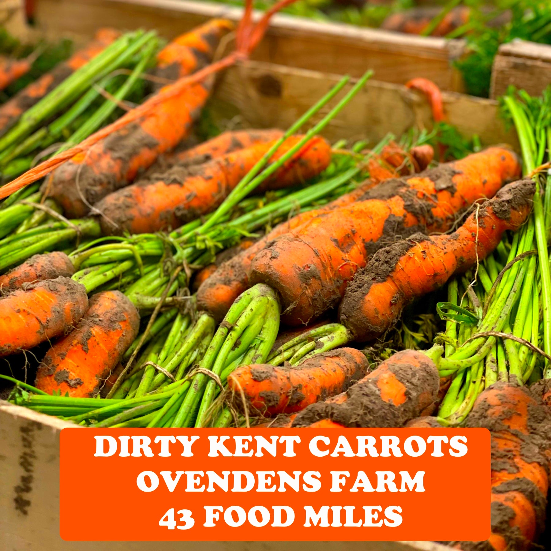 Kent Carrots 500g