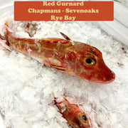 Red Gurnard Fillet x4