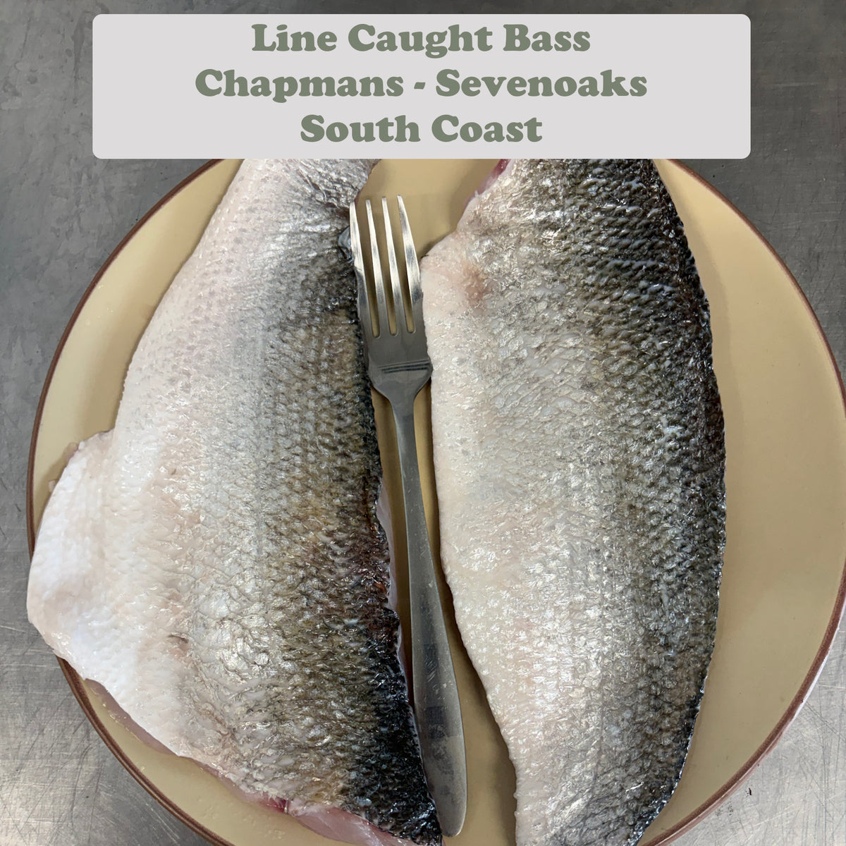Line Caught Local Wild Sea Bass Large Fillets x2