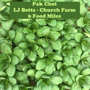 Pak Choi X2