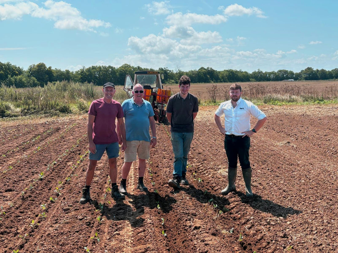 Paying Farmers Better