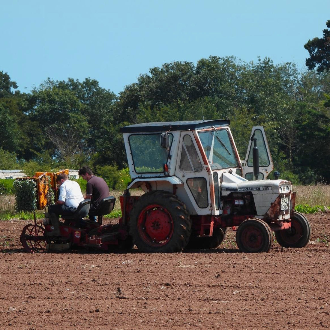 Investing in new growers