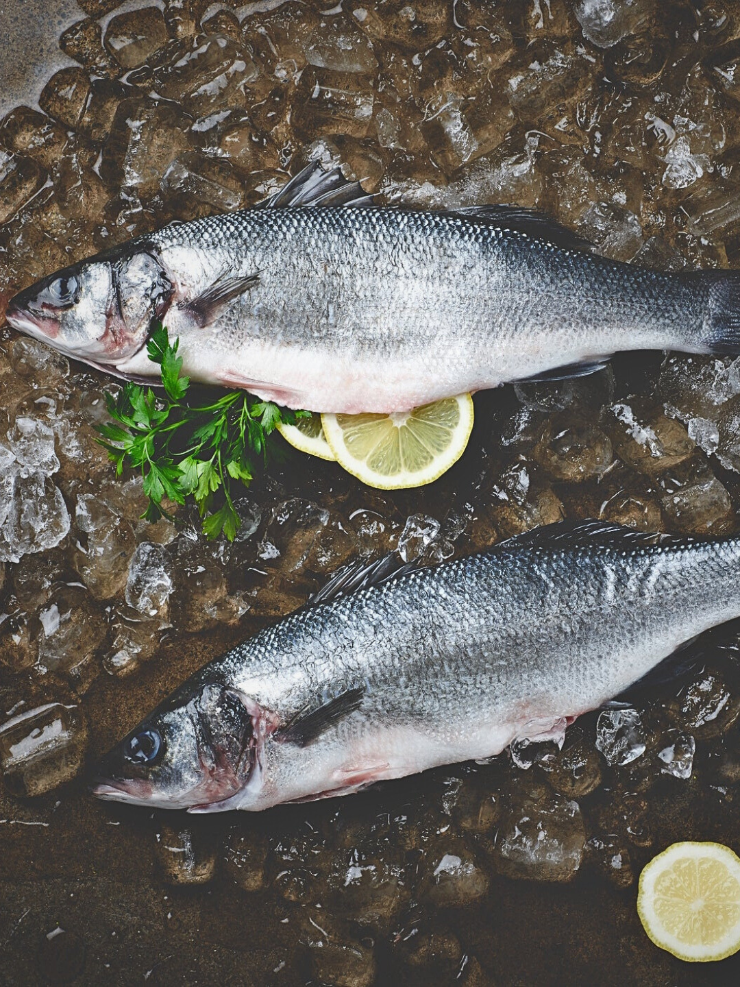 buy fresh fish box Local Fresh Fish Box