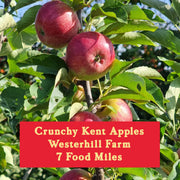 Apples 1kg