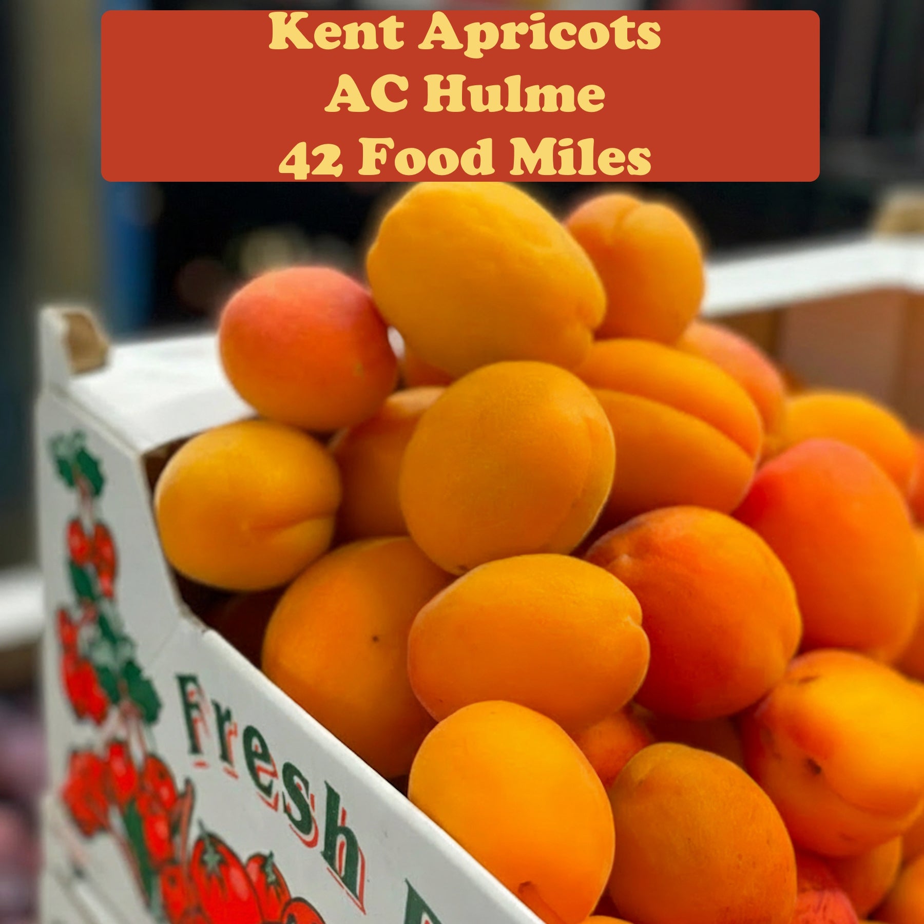 Kent Apricots 500g