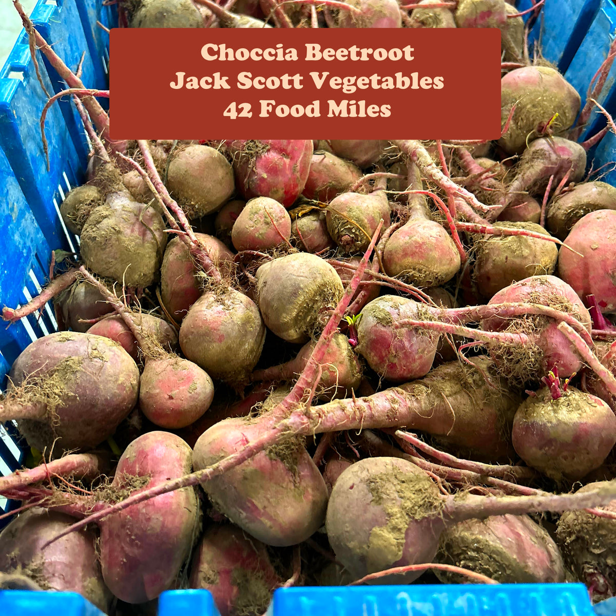 Beetroot 500g