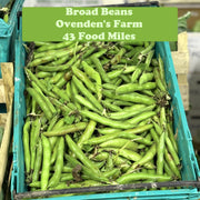 Broad Beans 500g