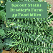 Sprout Stalk