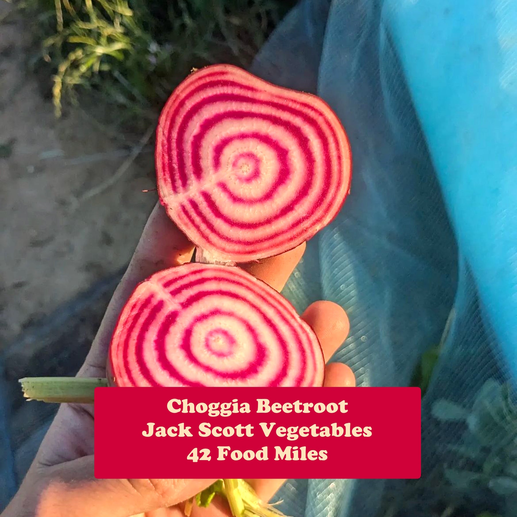 Beetroot 500g
