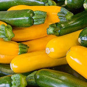 Courgettes 500g
