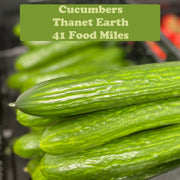 Kent Cucumber