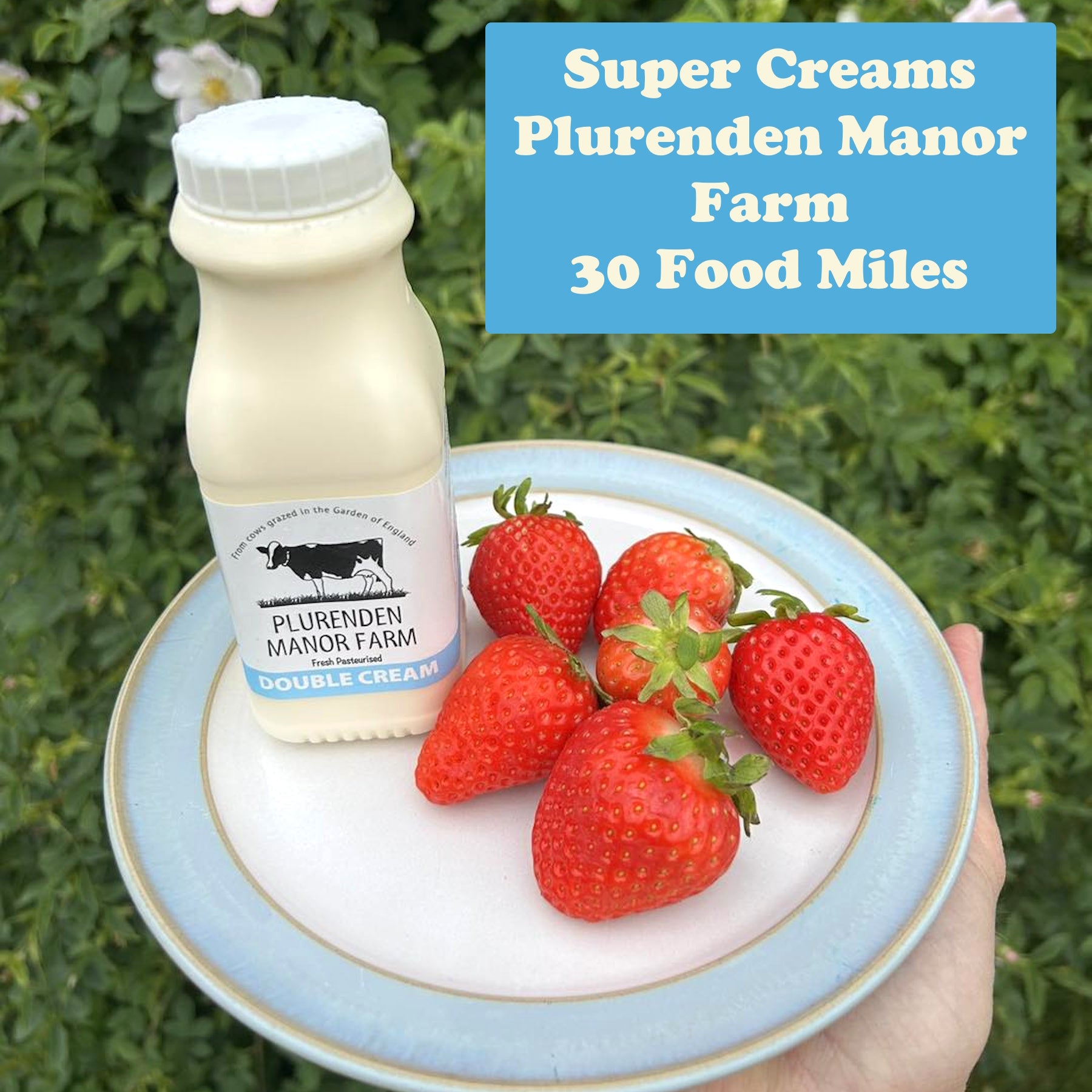 Creams : Double, Single & Extra Thick