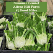 Fennel 500g
