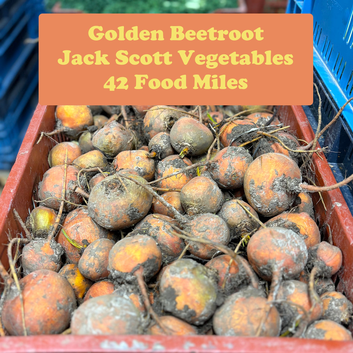 Beetroot 500g