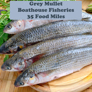 Grey Mullet Fillets x2