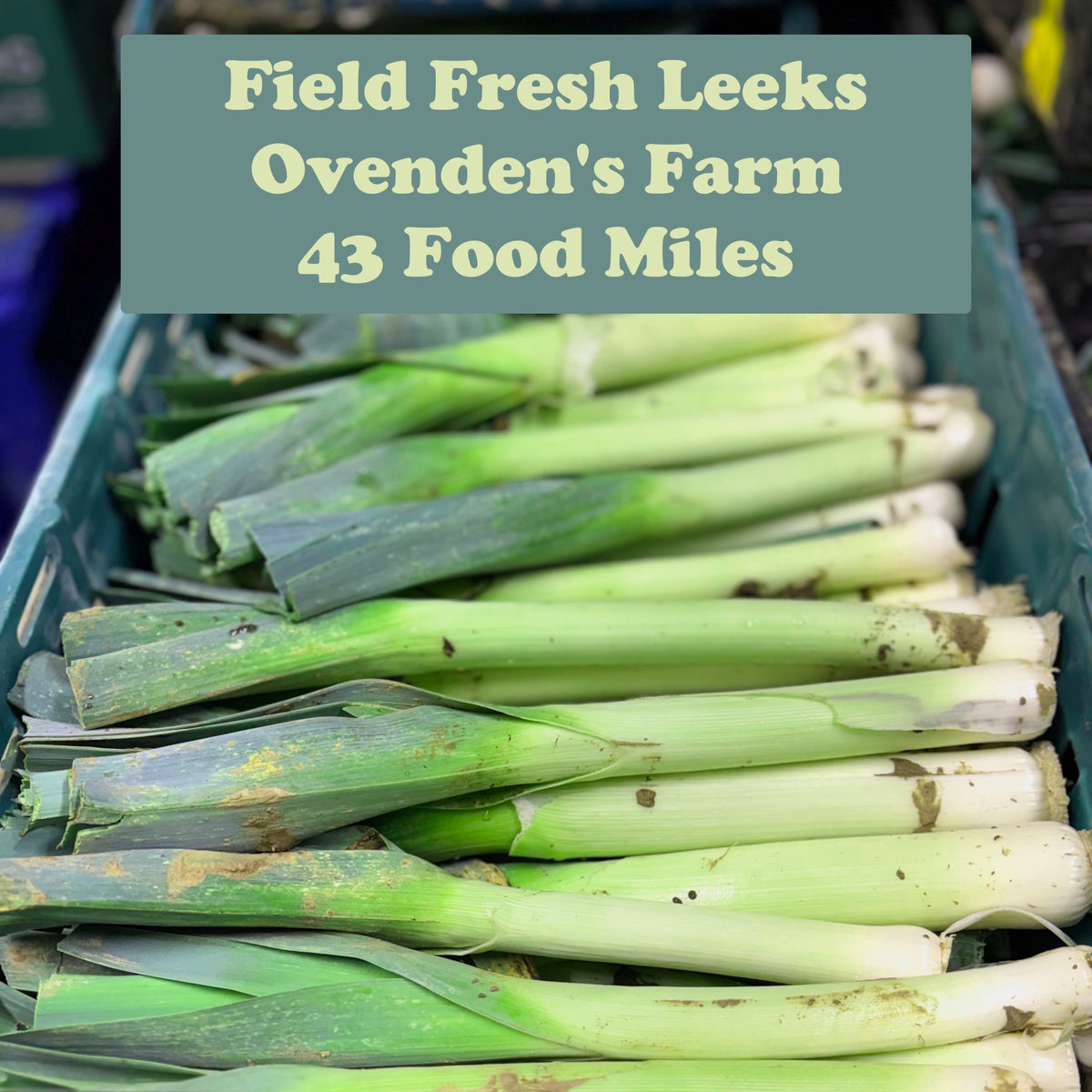 Kent Leeks 500g
