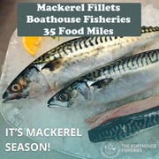Mackerel Fillets x2
