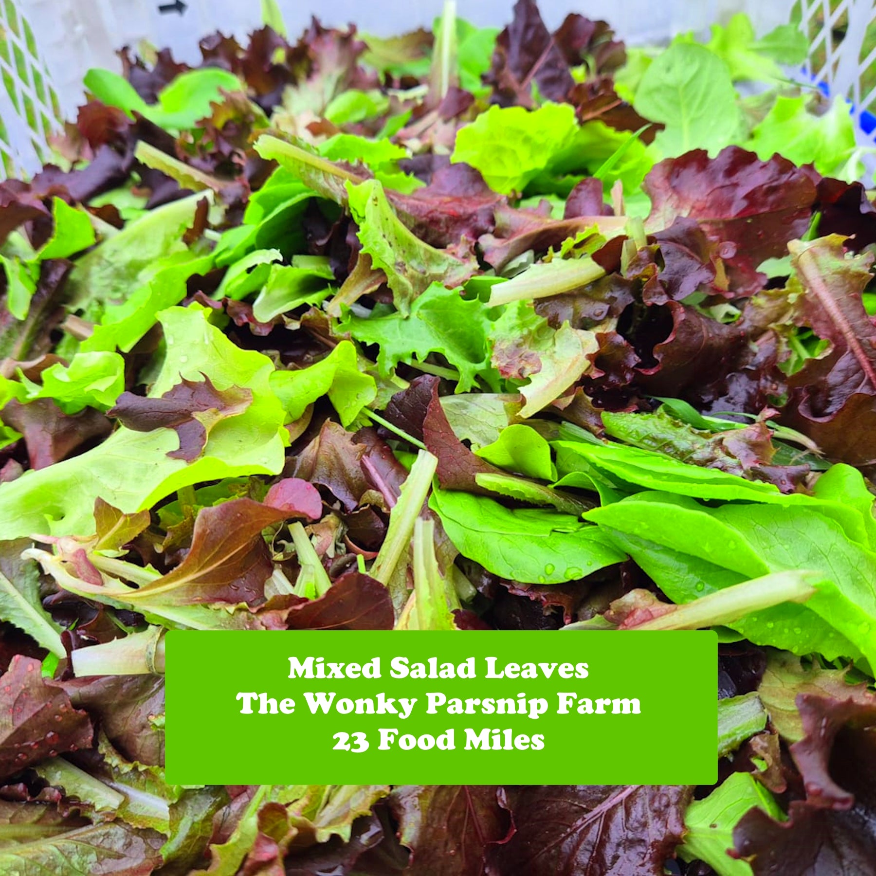 Mixed Salad Leaves 125g