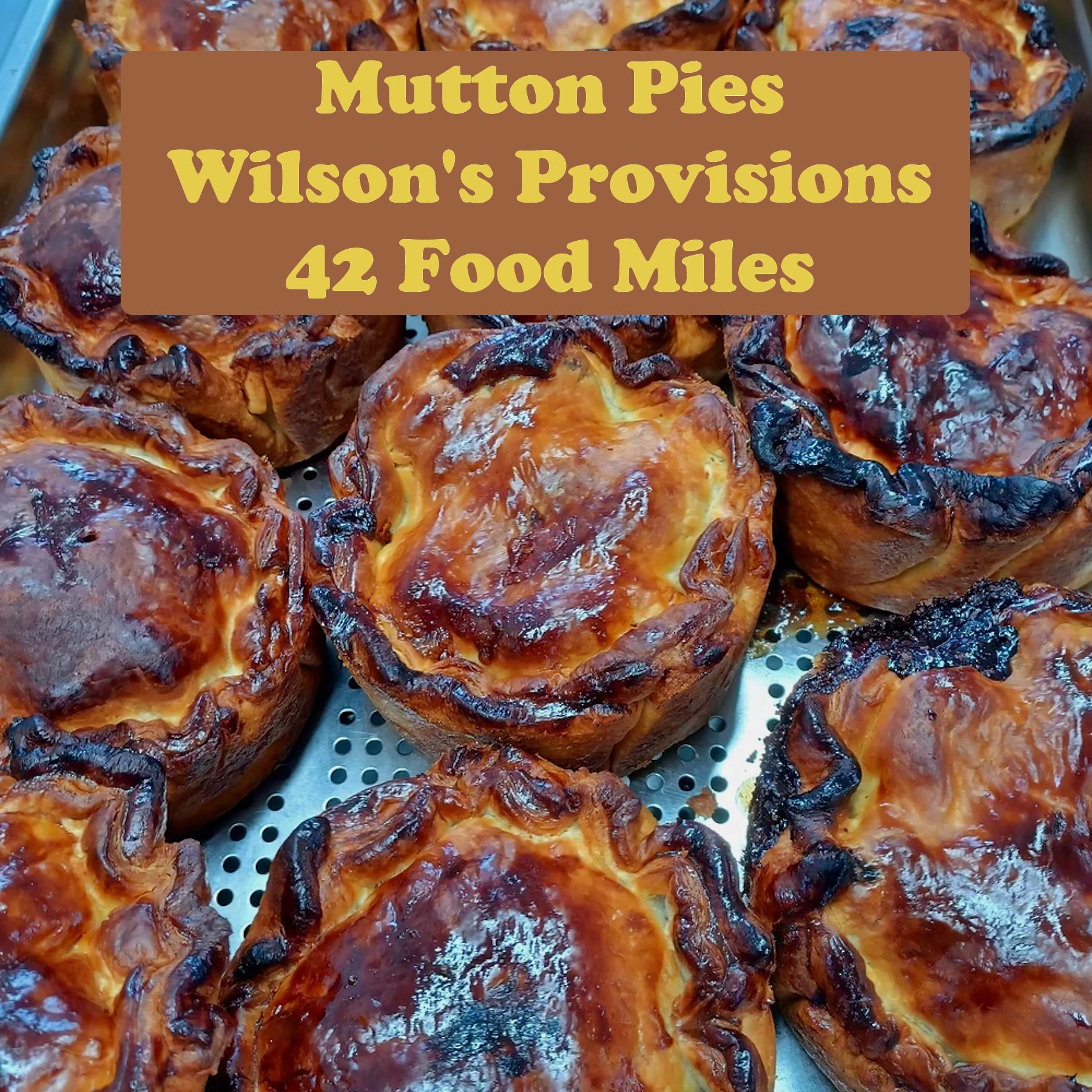 Wilson's Provisions Pies