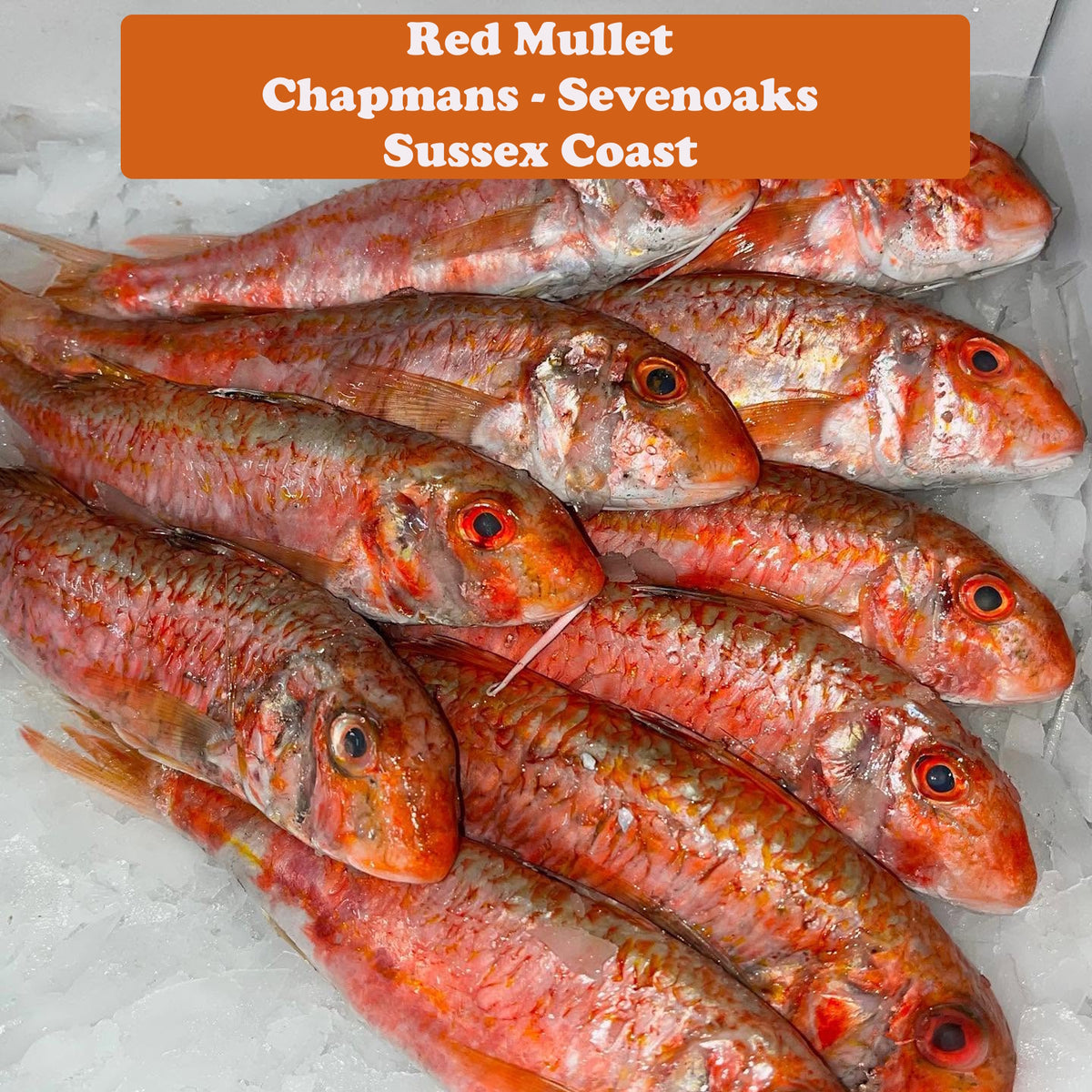 Red Mullet Fillet x 4