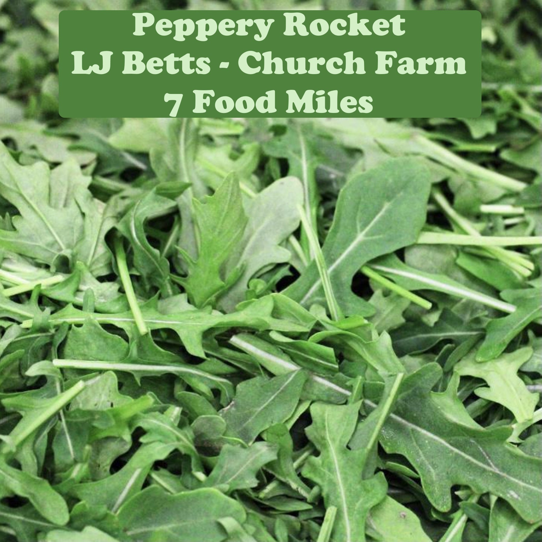 Wild Rocket 125g
