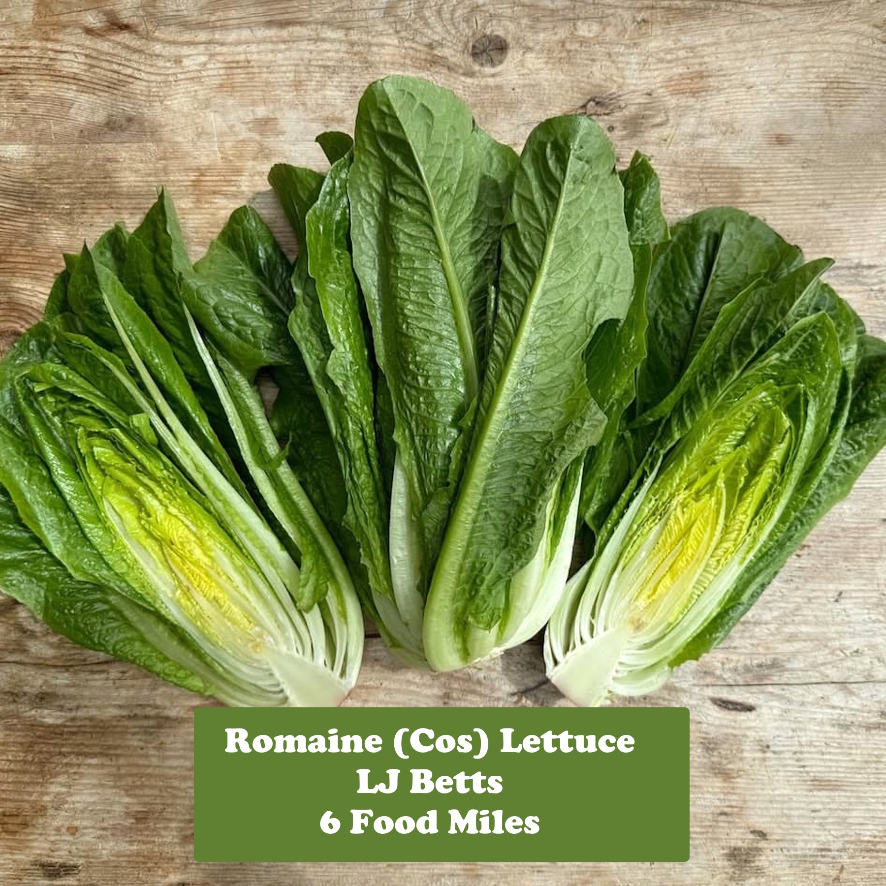 Salad Box - 4 Items