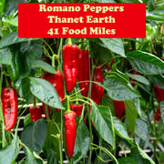 Kent Peppers 350g